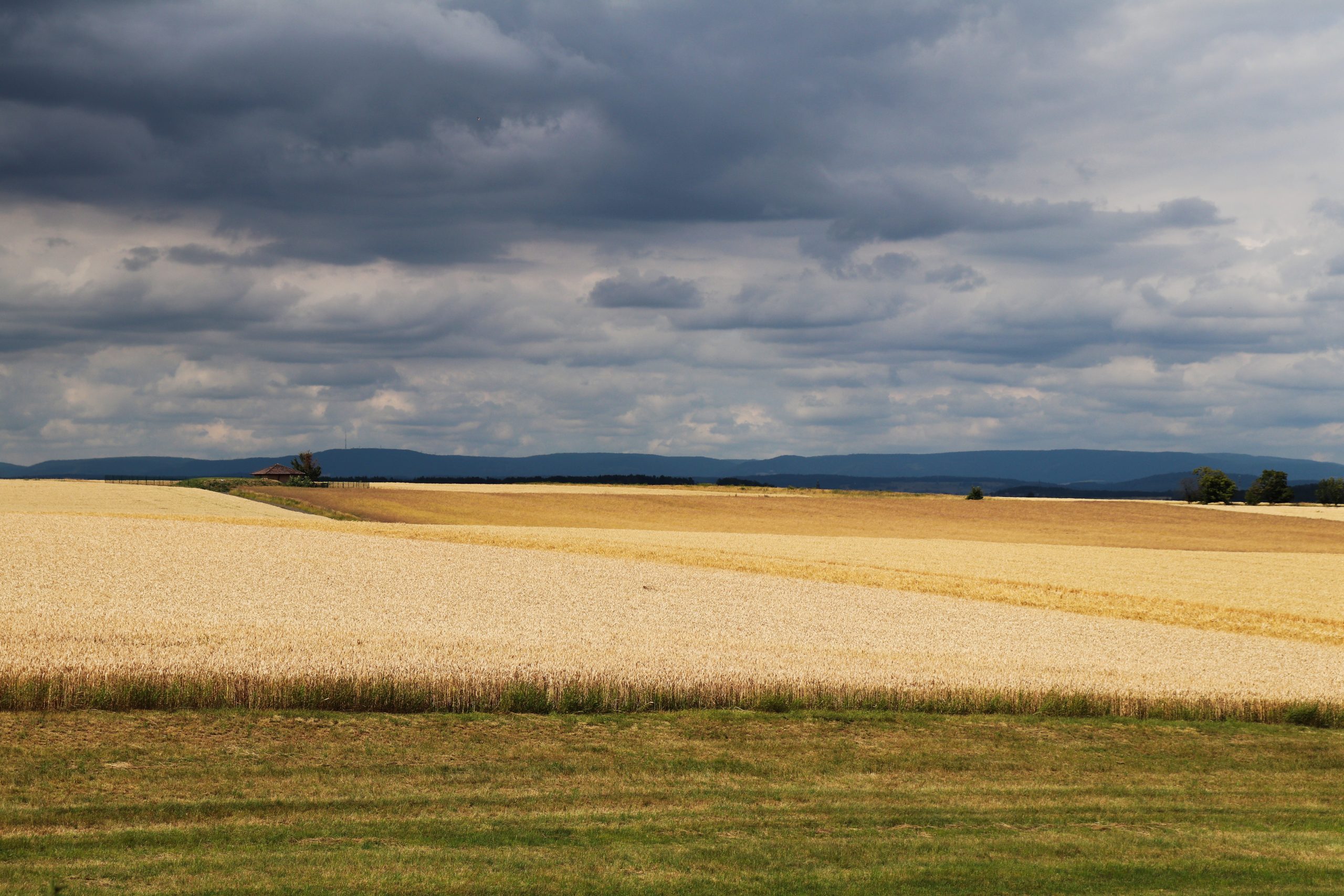 Landschaft
